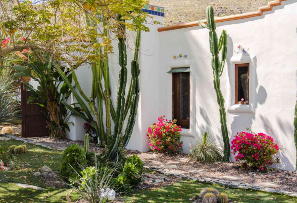 Taman gurun dengan kaktus-kaktus dan pasir putih